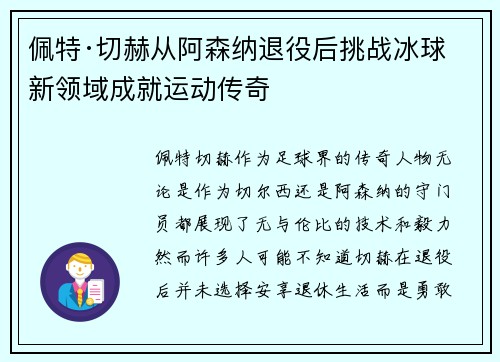 佩特·切赫从阿森纳退役后挑战冰球新领域成就运动传奇